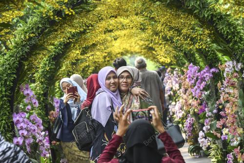 PTJ06_08092019_FLORIA_BN201909070356