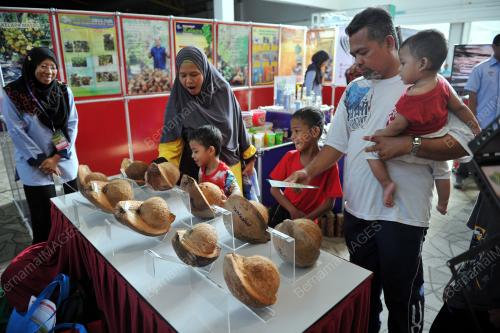 PTJ06_20052017_KELAPA