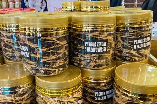 BISKUT RAYA