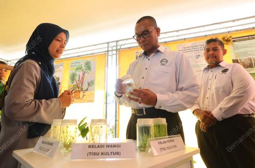 DATUK DR MOHAMAD ZABAWI ABDUL GHANI