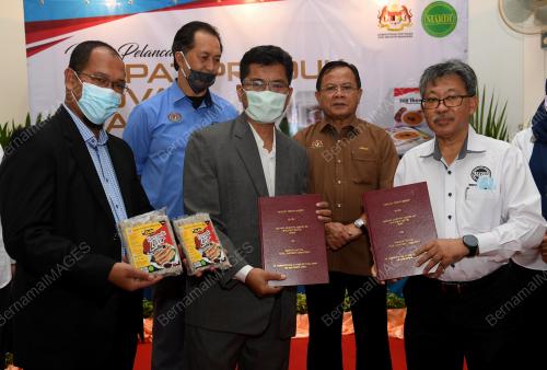 DATUK SERI AHMAD HAMZAH
