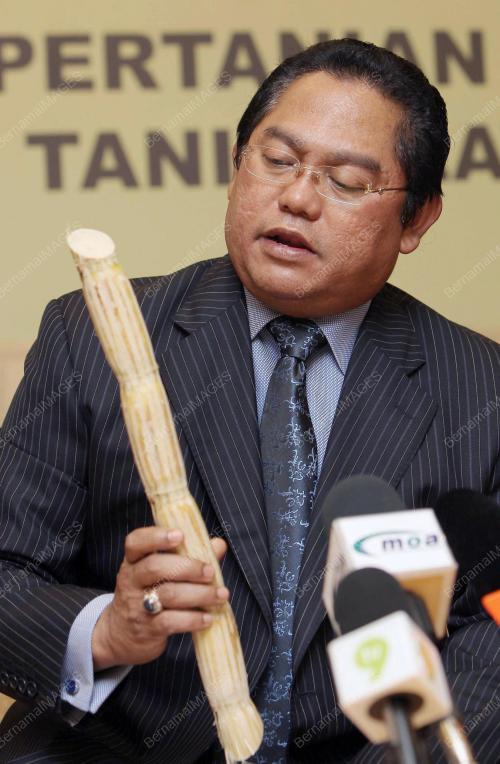 NOH OMAR