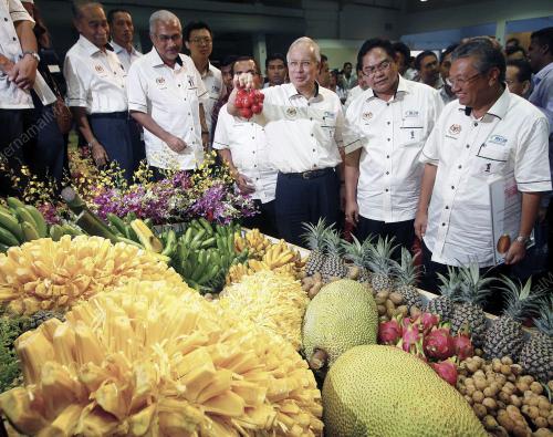 MOHD NAJIB TUN ABDUL RAZAK