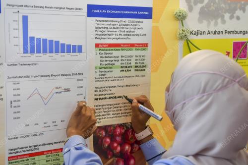 SEKURITI MAKANAN : PENANAMAN BAWANG DI MALAYSIA