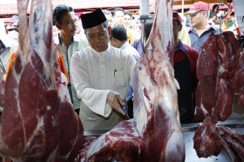 MUSTAPA M0HAMED
