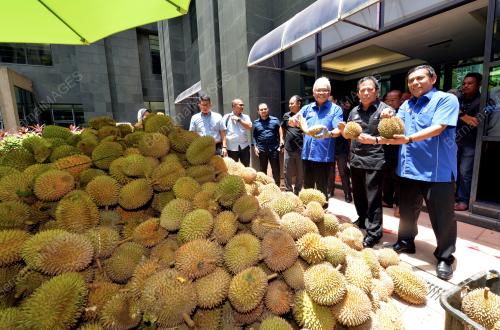 PTJ07_11042018_DURIAN