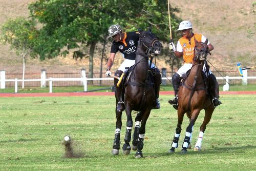 PTJ07_12102016_POLO