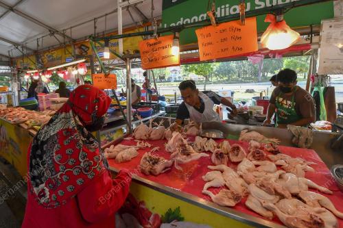 TINJAUAN ISU AYAM