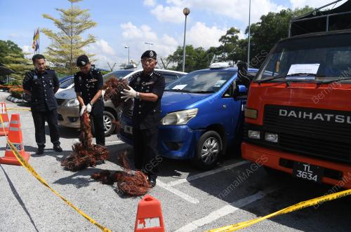 ACP WAN KAMARUL AZRAN WAN YUSUF