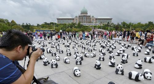 PTJ07_23122014_PANDA