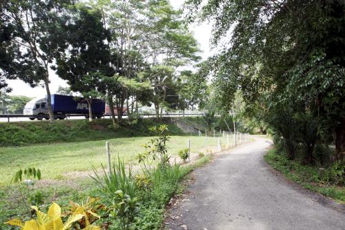 PAMPASAN TANAH ADAT
