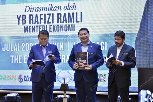 RAFIZI RAMLI