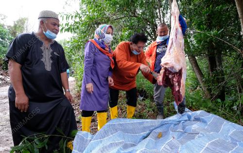 DATUK SERI TENGKU ADNAN TENGKU MANSOR