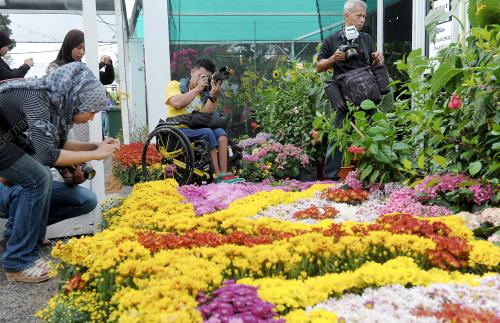 PTJ08_01072012_FLORIA