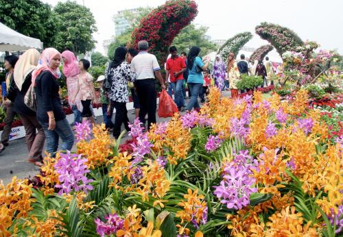 FLORIA 2009
