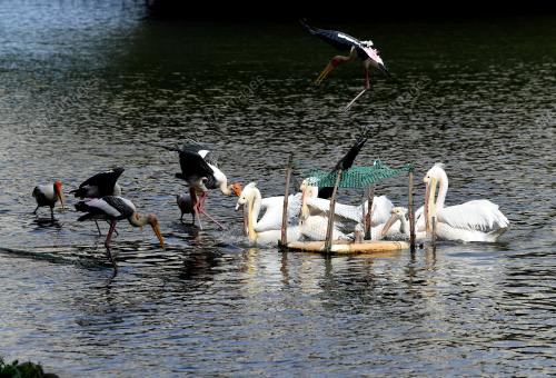RIADAH DI TAMAN WETLAND PUTRAJAYA