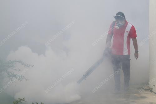 CEGAH DENGGI