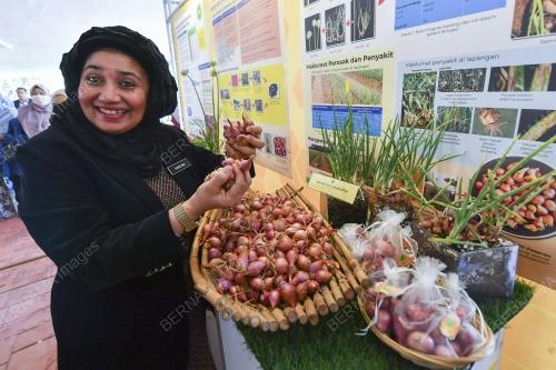 DATUK HASLINA ABDUL HAMID
