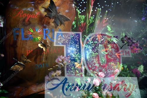 PTJ08_09082018_FLORIA