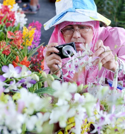 FLORIA 2011