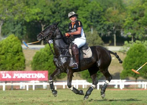 PTJ08_12102016_POLO
