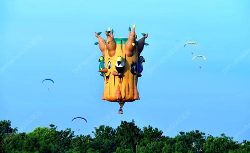 PTJ08_16032012_BELON_PANAS