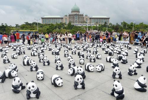 PTJ08_23122014_PANDA
