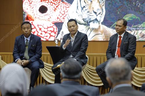 NIK NAZMI NIK AHMAD