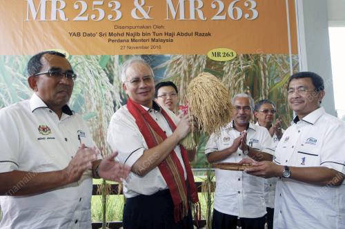 MOHD NAJIB TUN ABDUL RAZAK