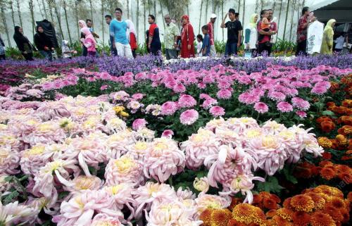 FLORIA 2009