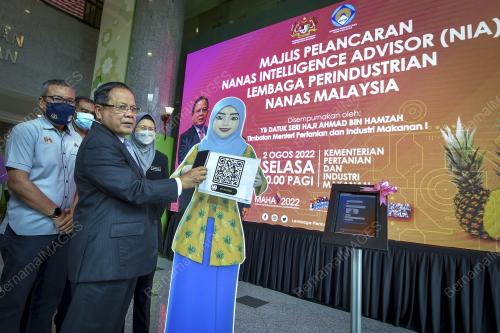 DATUK SERI AHMAD HAMZAH