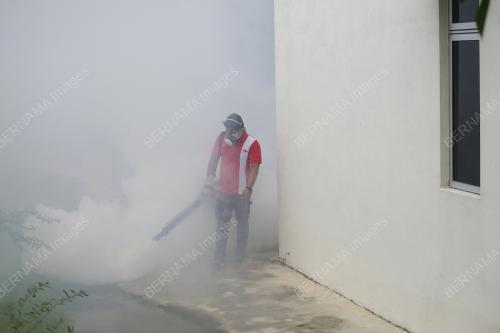 CEGAH DENGGI