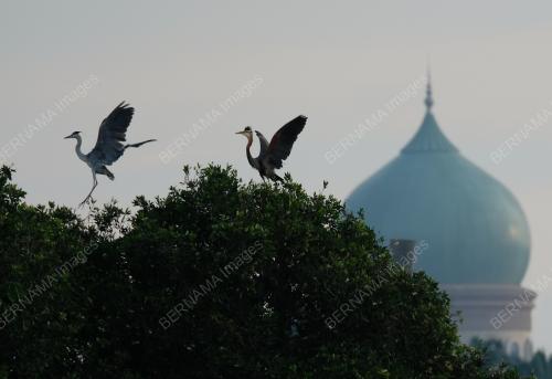 PUTRAJAYA WETLAND