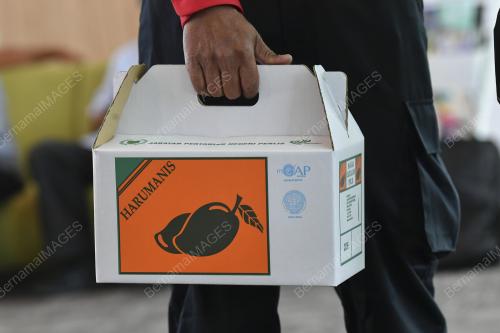 HARUMANIS DALAM TALIAN CATAT JUALAN RM22 JUTA