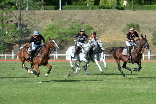 PTJ09_12102016_POLO