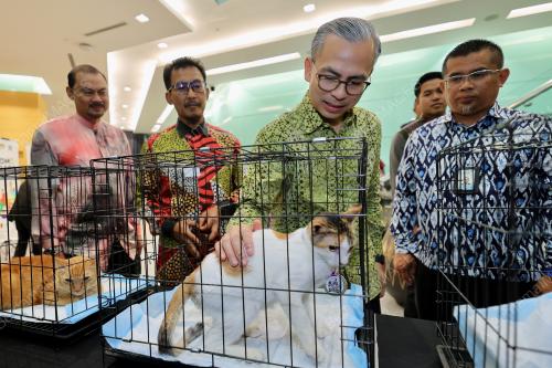 DATUK FAHMI FADZIL