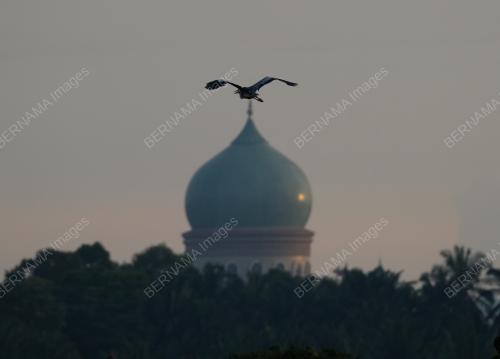 PUTRAJAYA WETLAND