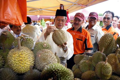 MUSTAPA M0HAMED