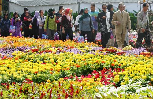 FLORIA 2010