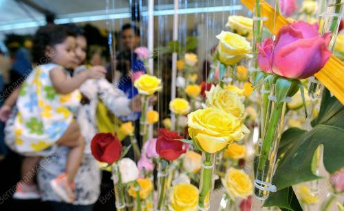 FLORIA 2011