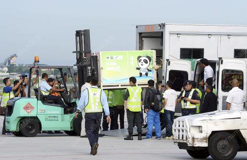 PTJ10_21052014_PANDA_TIBA