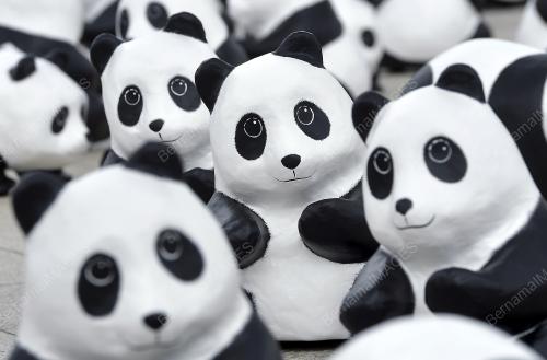 PTJ10_23122014_PANDA