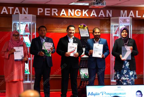 RAFIZI RAMLI