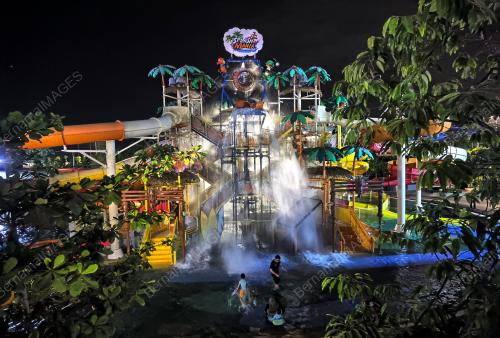 NIGHT SPLASH