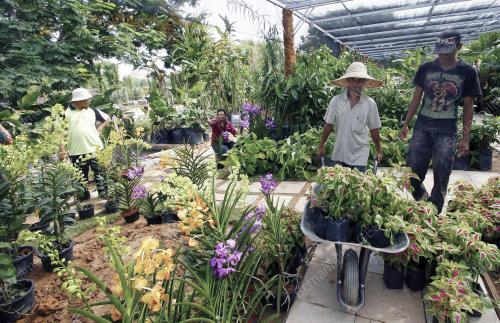 FLORIA 2010