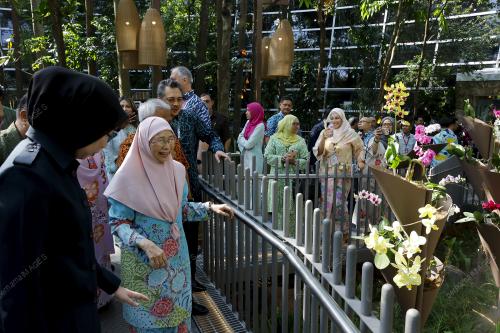 DATUK SERI DR WAN AZIZAH WAN ISMAIL