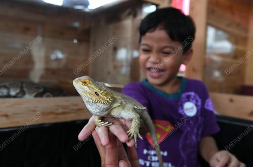 PTJ11_17102019_KUD_2019_BN201910164602