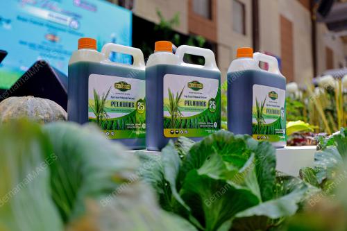 PELANCARAN PRODUK PELADANG 25