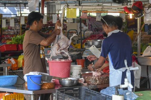 TINJAUAN ISU AYAM