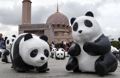 PTJ11_23122014_PANDA
